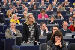 Edite Estrela durante um debate em plenário, Estrasburgo, 10 de dezembro de 2013