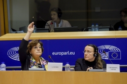 Ana Gomes Comissao PANA 04052017